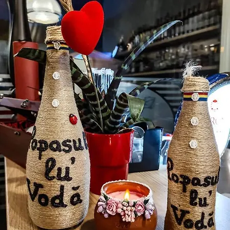 Popasul Lu' Voda Resort *